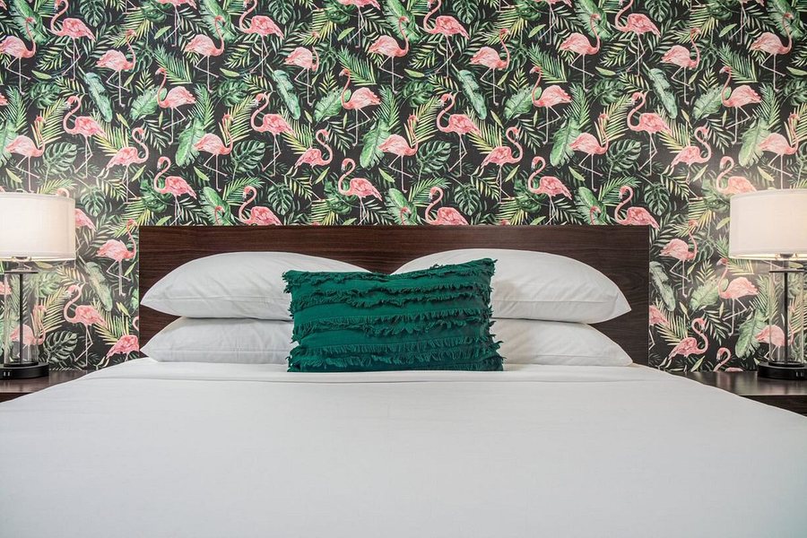 The Local St Augustine — Guest room