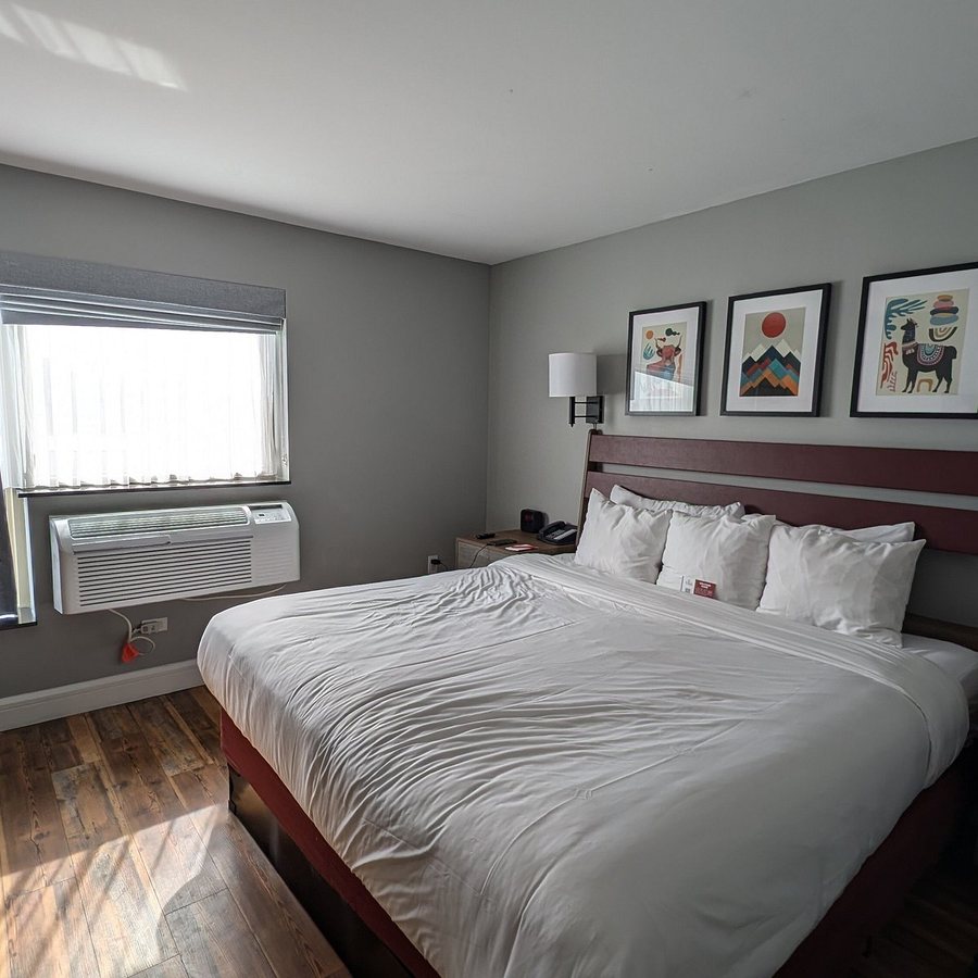 The Lodge Red Hook — Guest room