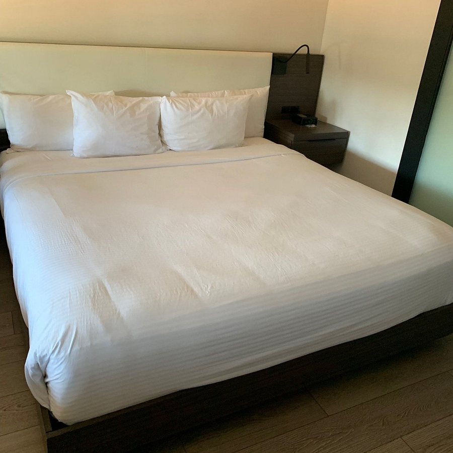 The Nest Palo Alto — Guest room