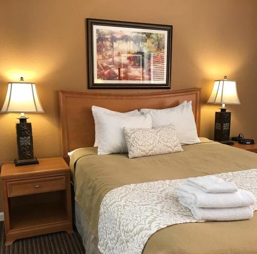 The Oasis Resort — Guest room
