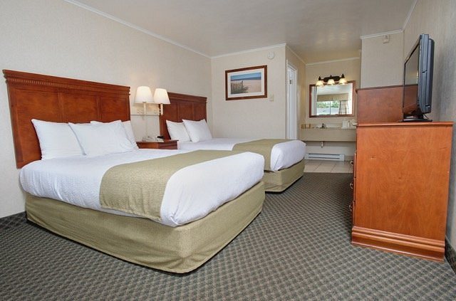The Oceanus — Guest room