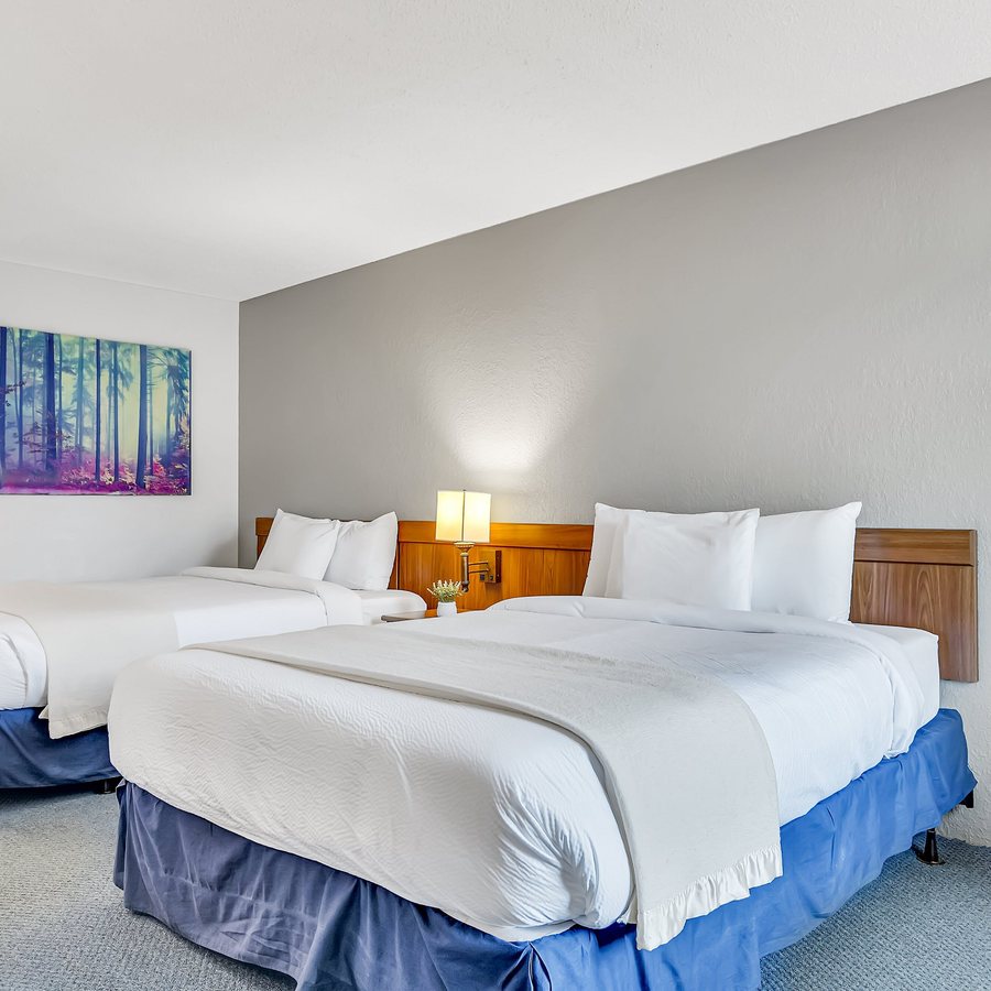 The Old Southern Inn — Guest room