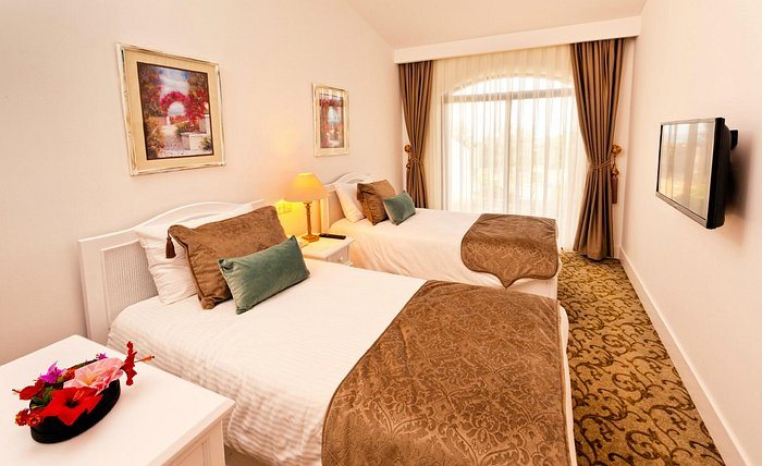The Olive Tree Hotel — Guest room