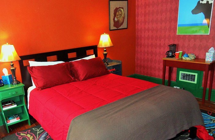 The One Cat — Guest room