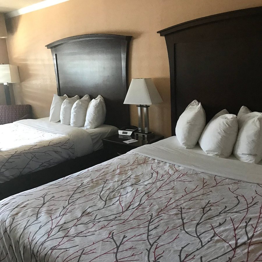 The Orchard Hotel — Guest room