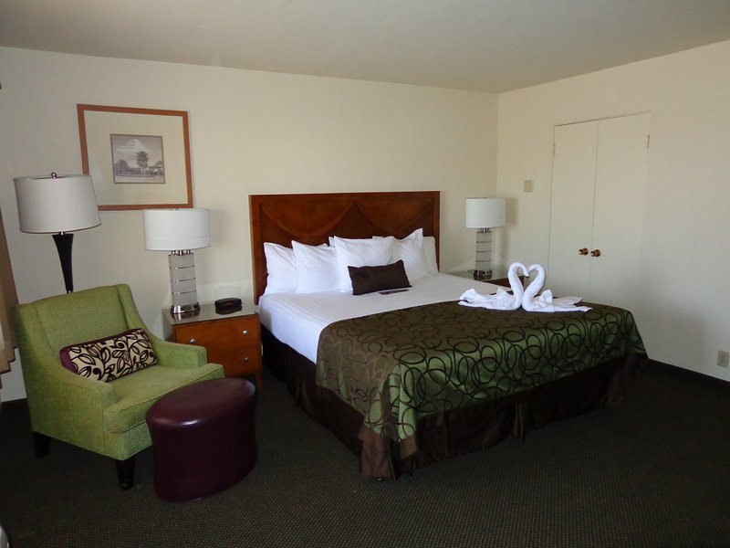 The Palms RV Resort — Guest room