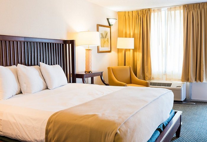 The Parc Micro Suites — Guest room
