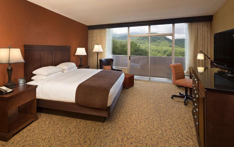 The Park Vista a DoubleTree by Hilton Hotel Gatlinburg — Guest room