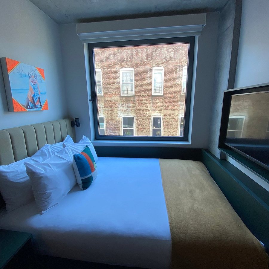 The Penny Williamsburg — Guest room