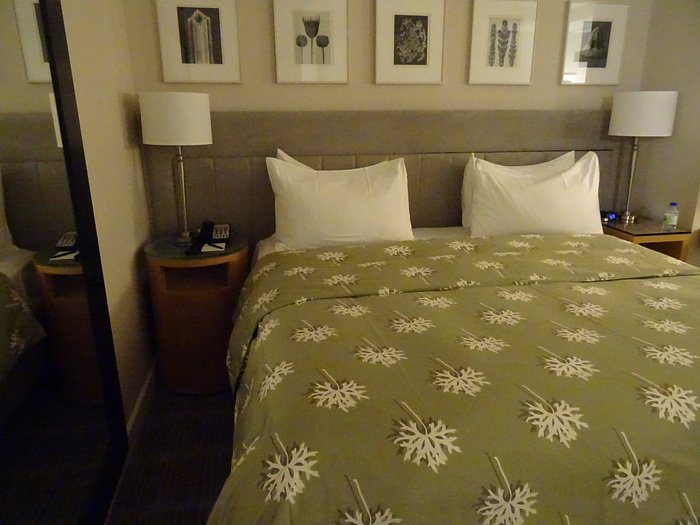 The Phillips Club — Guest room