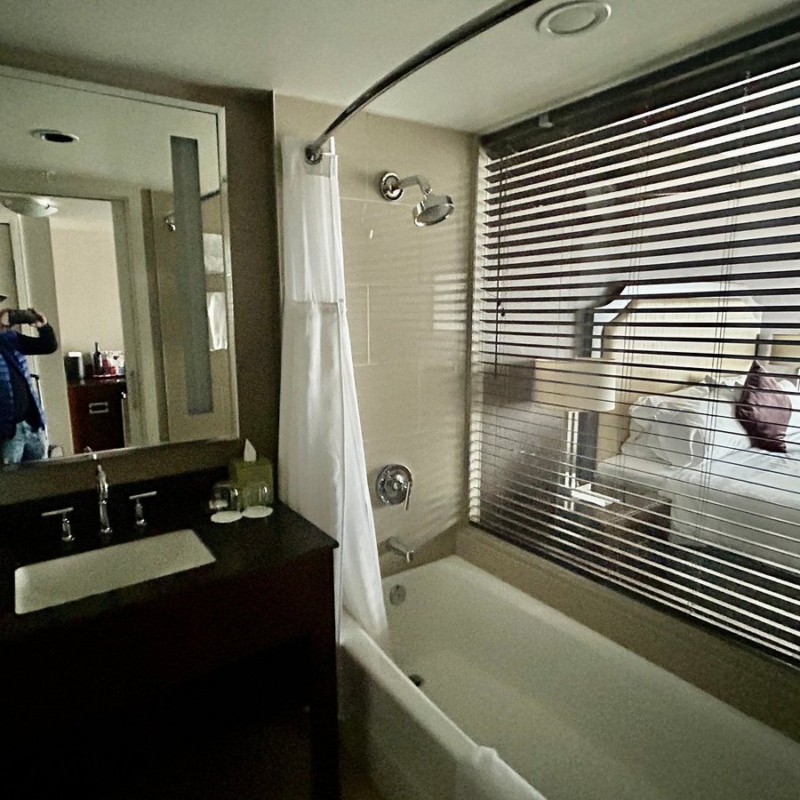 The Pinnacle Hotel Harbourfront Vancouver British Columbia — Bathroom
