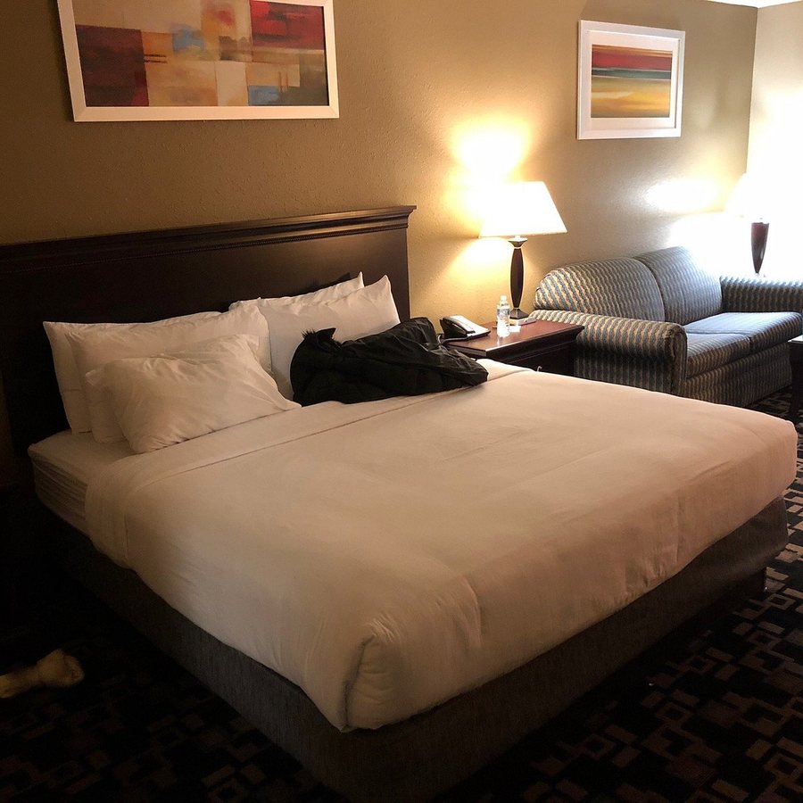 The Plaza Hotel Suites — Guest room