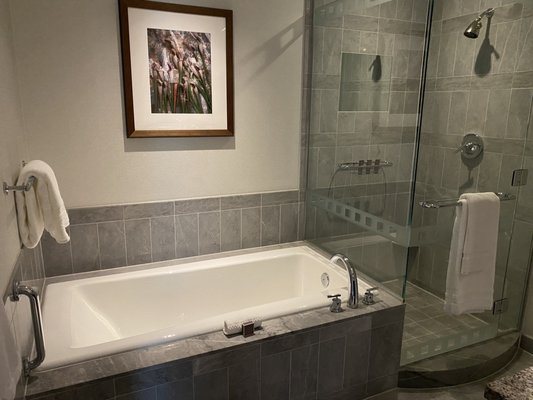The Ritz Carlton Charlotte — Bathroom