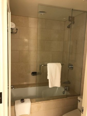 The Ritz Carlton Chicago Chicago Illinois — Bathroom