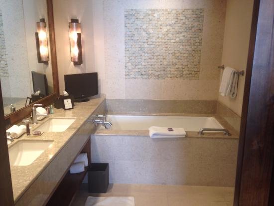 The Ritz Carlton Dove Mountain — Bathroom