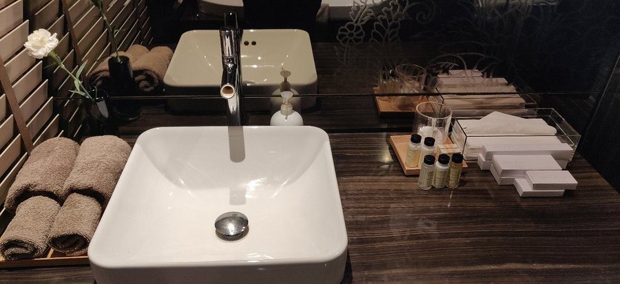 The Roseate New Delhi — Bathroom