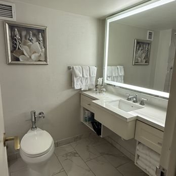 The Royal Sonesta New Orleans New Orleans Louisiana — Bathroom