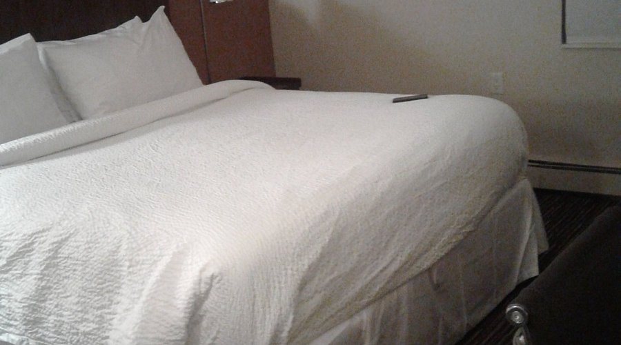The Royce Hotel — Guest room