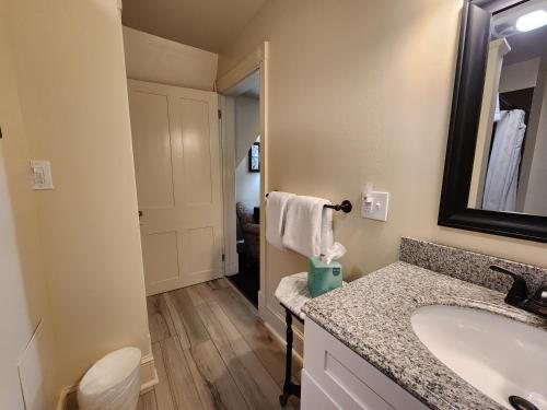 The Sayre Mansion — Bathroom