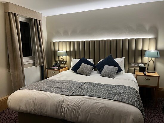 The Scholar — Guest room