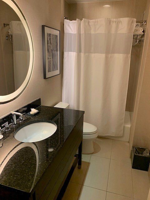 The Shelburne Sonesta New York New York City New York — Bathroom
