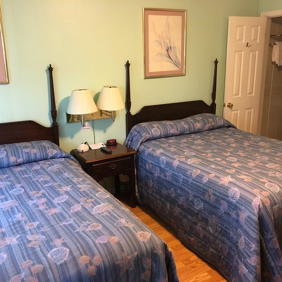 The Springs Motel — Guest room