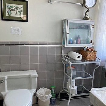 The Starkey Mansion — Bathroom