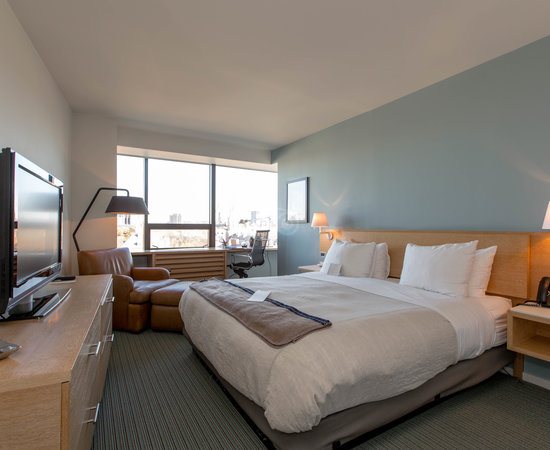 The Study At Yale — Guest room
