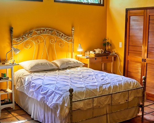 The Treehouse Bel Air Los Angeles California — Guest room