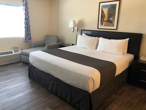 The University Inn — Guest room