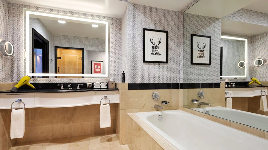 The Vicinity — Bathroom