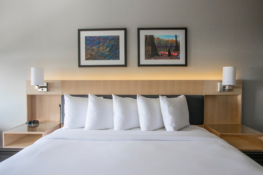 The Waters Hot Springs Tapestry Collection by Hilton — Guest room