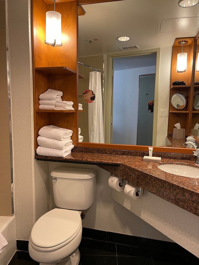 The Westin Bonaventure Hotel Suites Los Angeles Los Angeles California — Bathroom