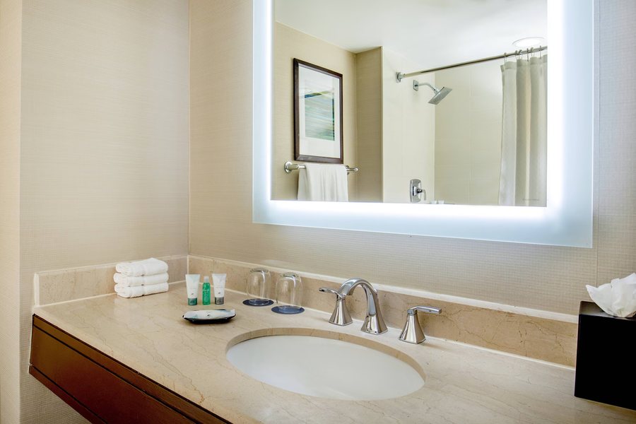 The Westin Waltham Boston — Bathroom