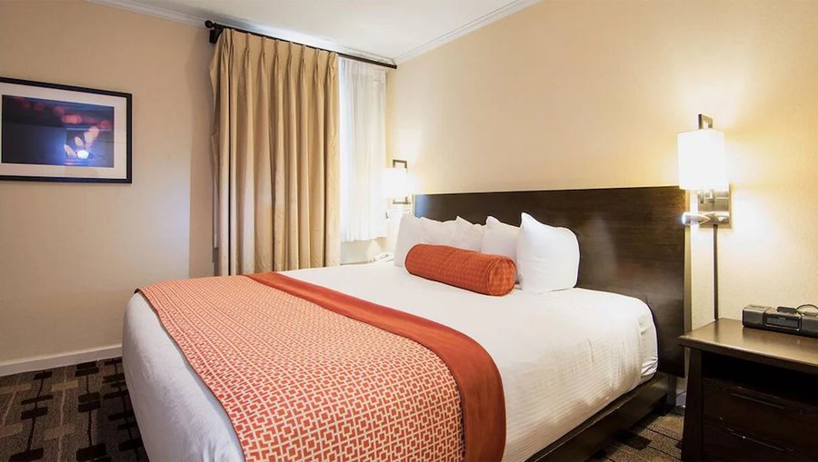 The Zen Hotel — Guest room
