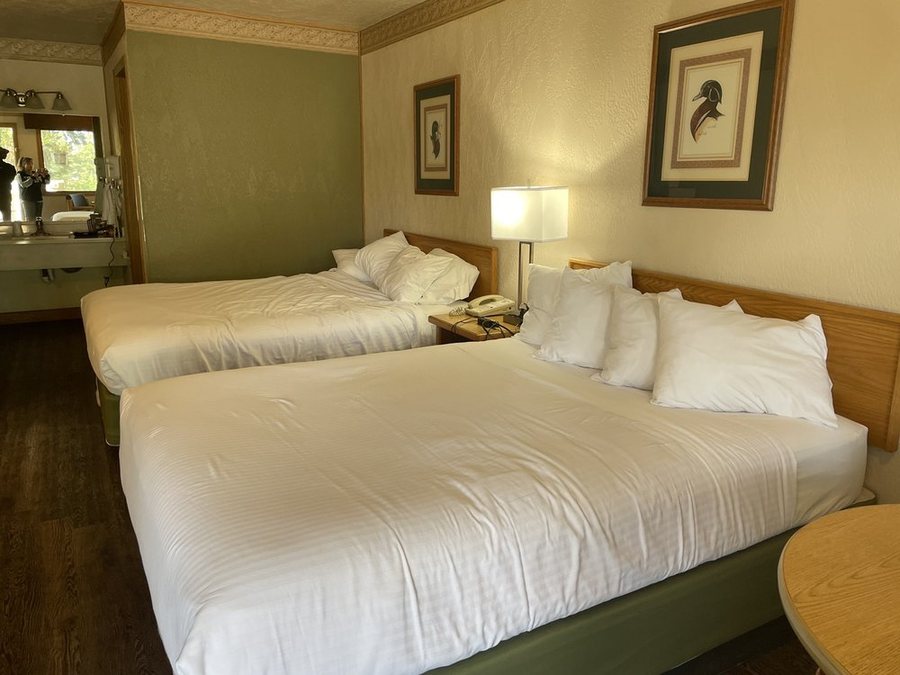Timbers Motel — Guest room