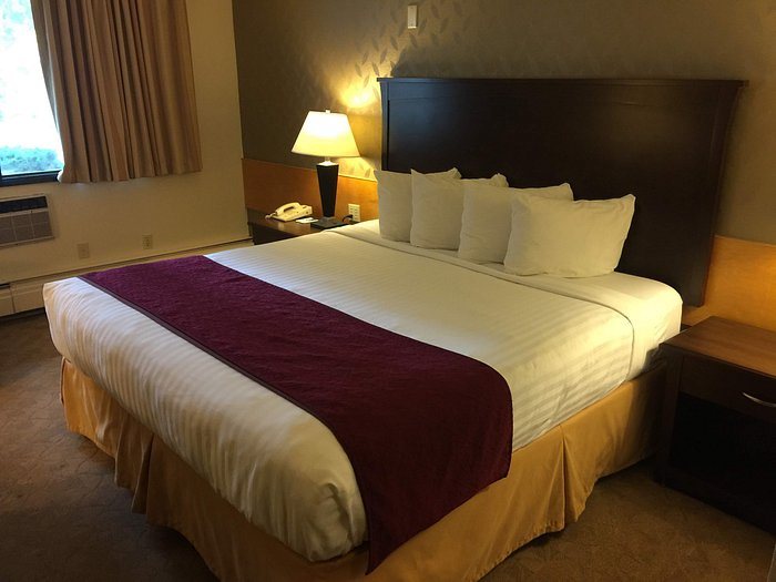 Tower Inn Suites — Guest room