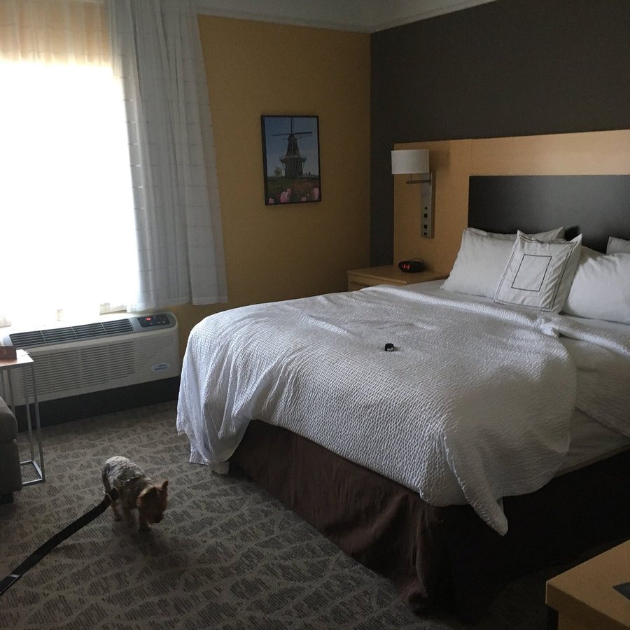 TownePlace Suites Detroit Auburn Hills — Guest room