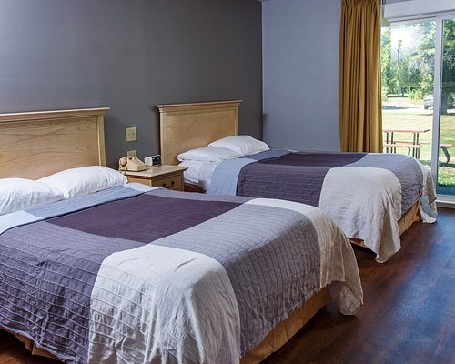 Tranquil Timbers Campground — Guest room