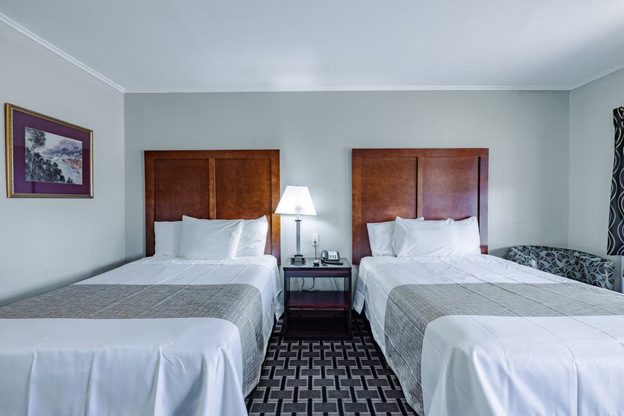 Travelodge by Wyndham Jackson — Guest room