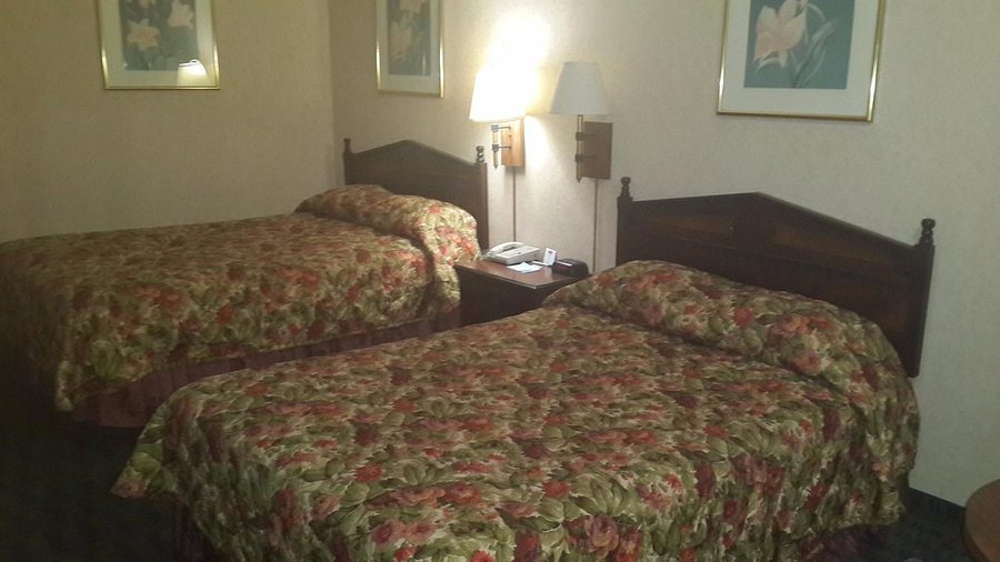 Travelodge by Wyndham Orange County Airport Costa Mesa — Guest room