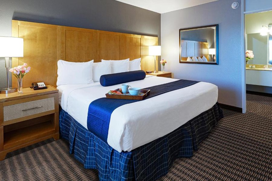Travelodge by Wyndham Palm Springs — Guest room