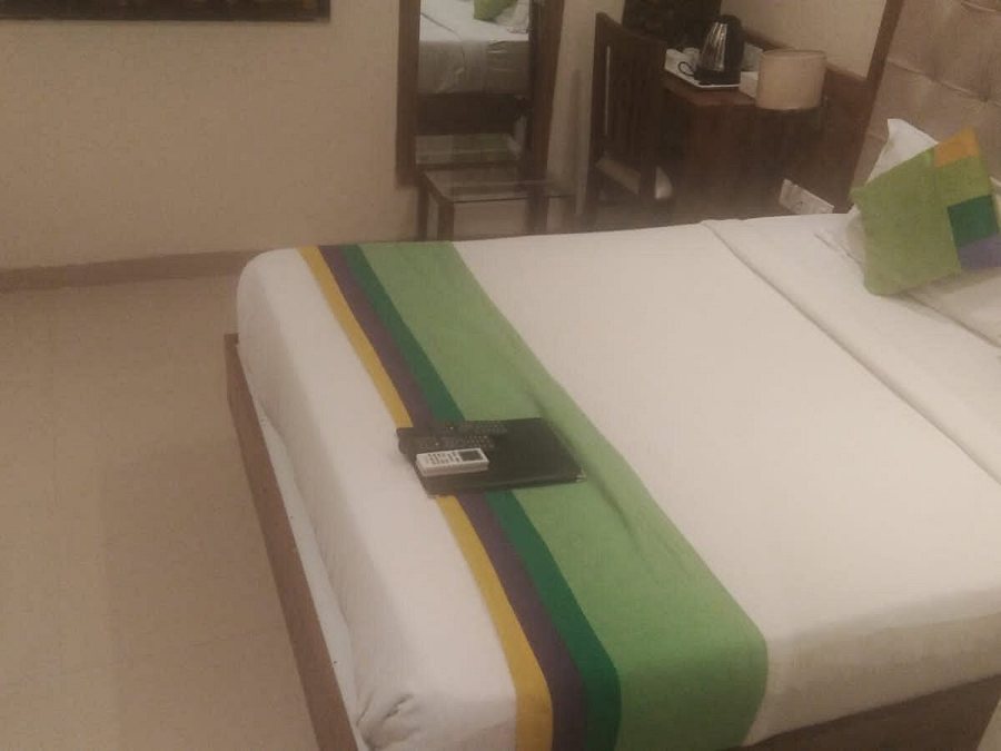 Treebo Amber International Mumbai International Airport T2 — Guest room