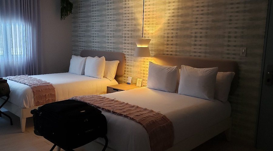 Tropica Beach Hotel — Guest room