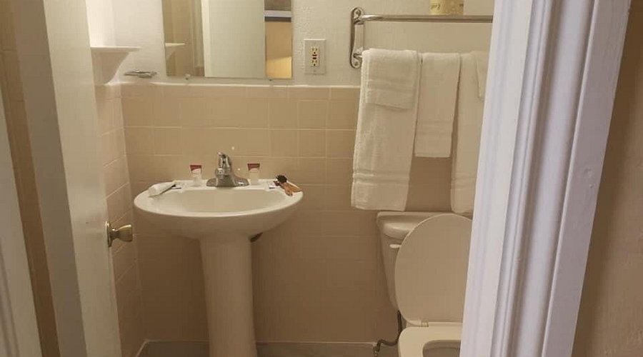 Tropical Motel — Bathroom