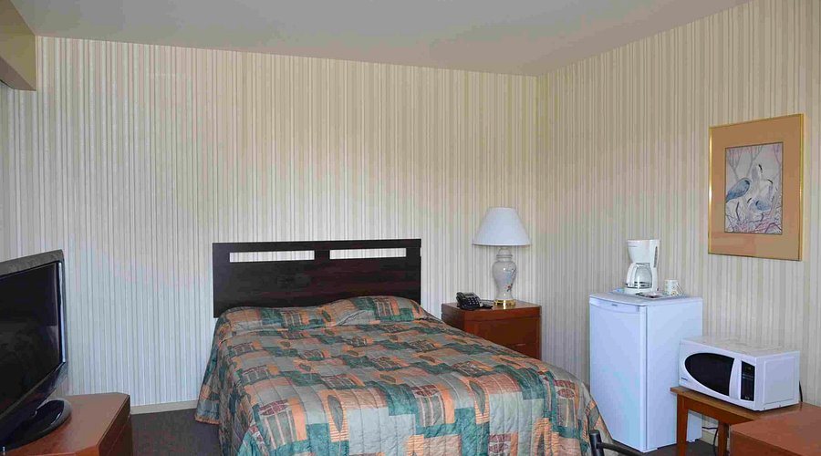 Tropical Motel — Guest room