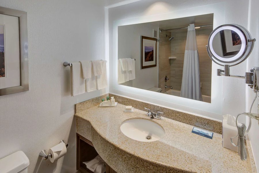 Tru by Hilton Alcoa Knoxville Airport — Bathroom