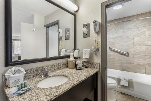 Tru By Hilton Asheville Blue Ridge Parkway — Bathroom