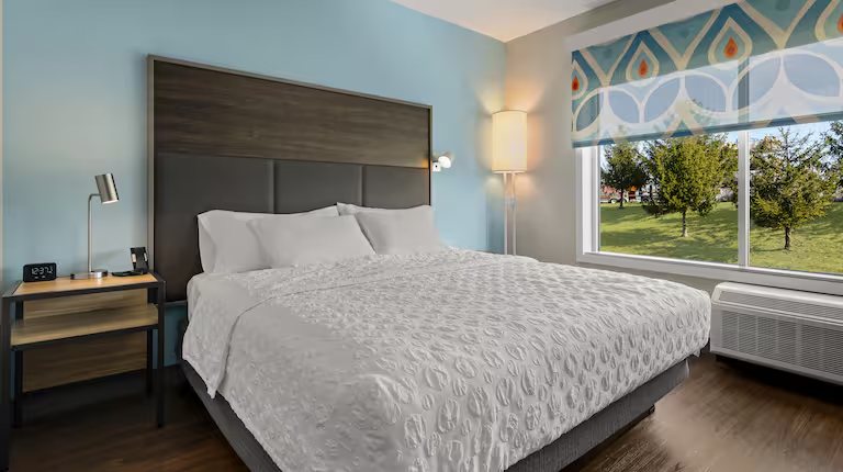 Tru By Hilton Christiansburg — Guest room