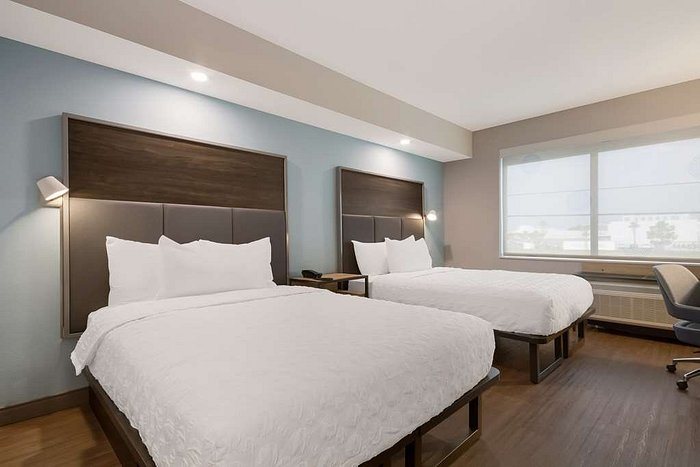 Tru by Hilton Destin — Guest room